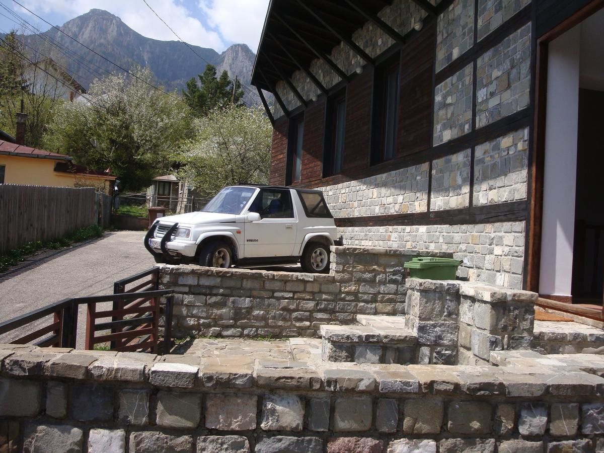 Дома для отпуска Cabana de piatra Буштени